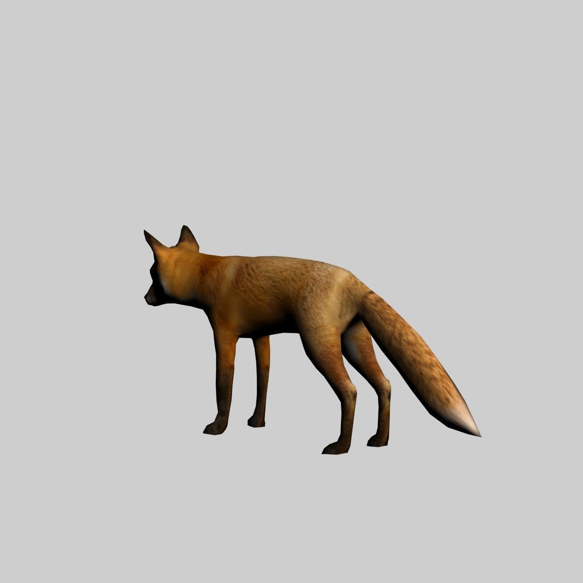 Fox royalty-free 3d model - Preview no. 6