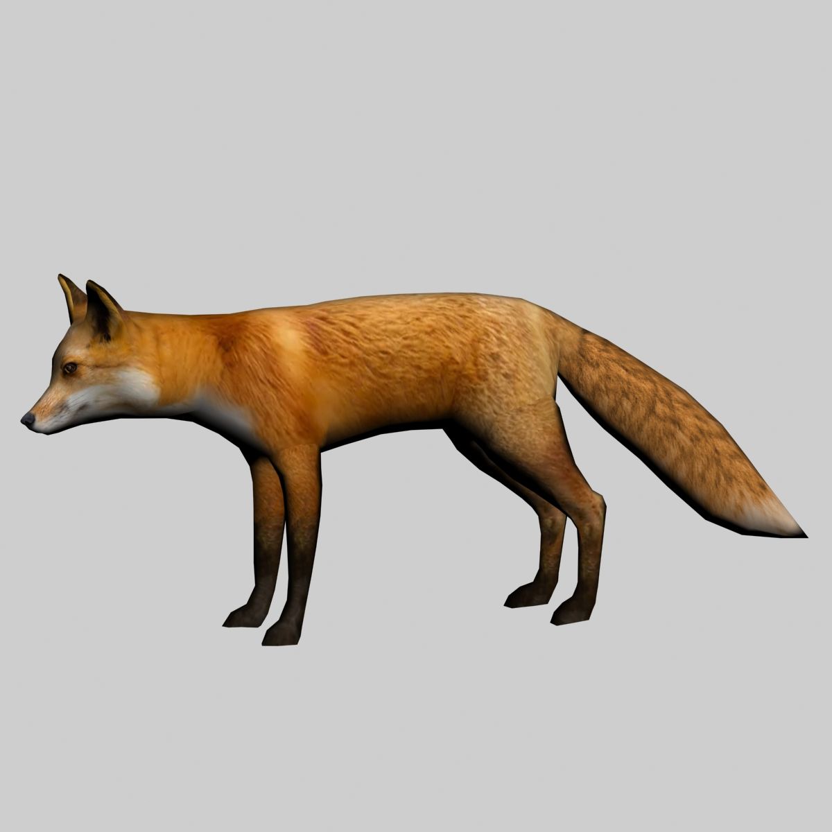 Fox royalty-free 3d model - Preview no. 13