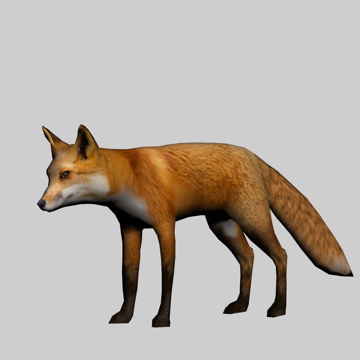 Fox royalty-free 3d model - Preview no. 12