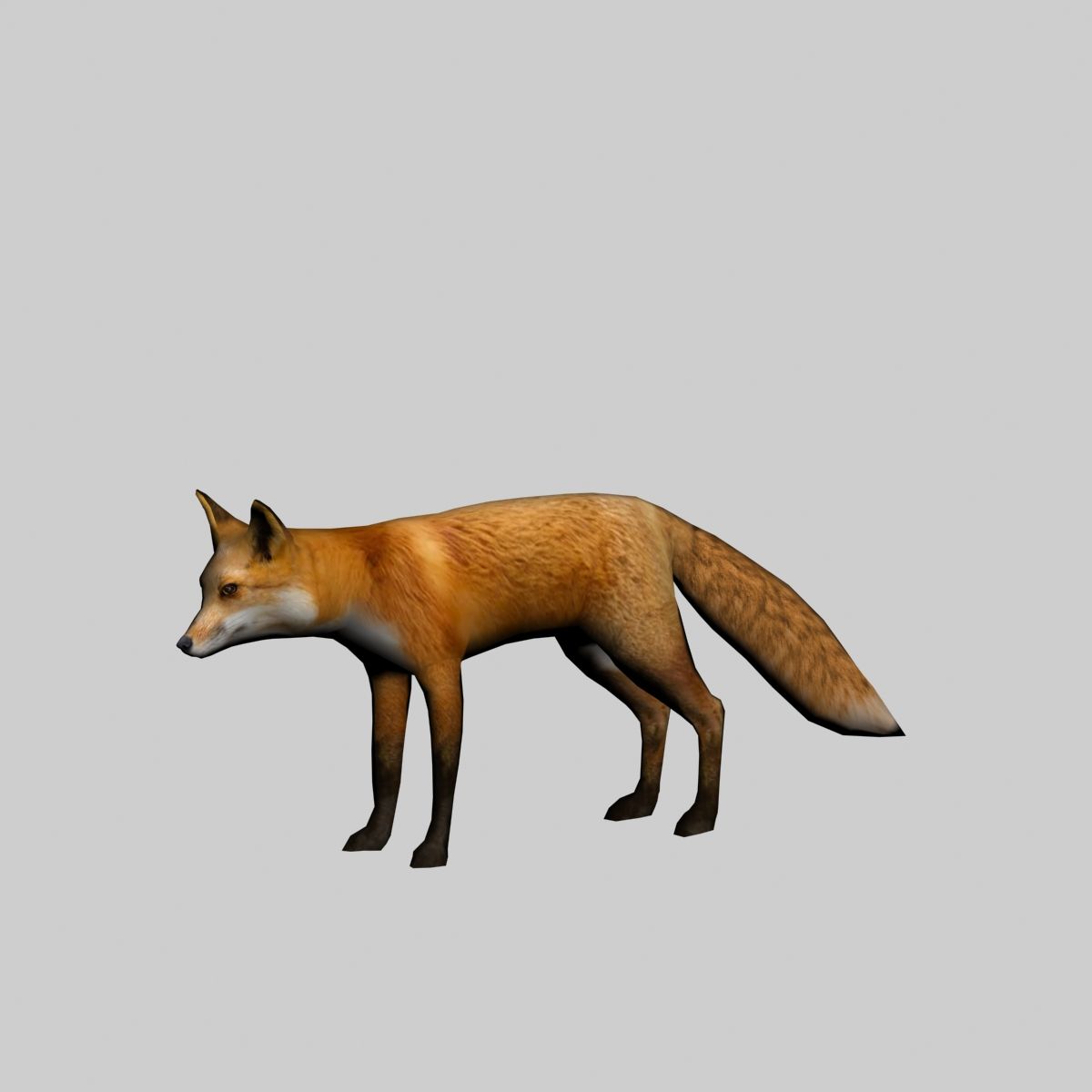 Fox royalty-free 3d model - Preview no. 5