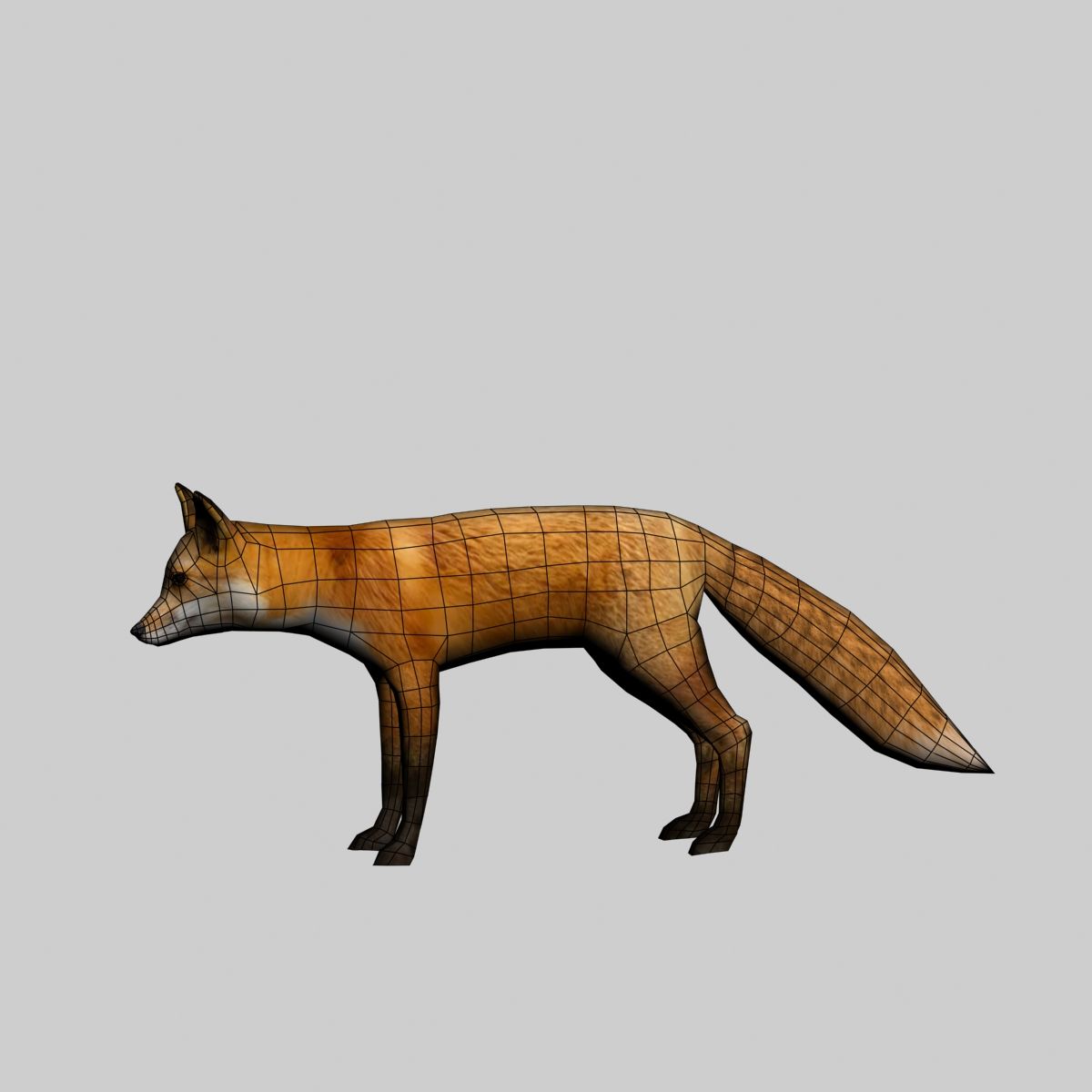 Fox royalty-free 3d model - Preview no. 4