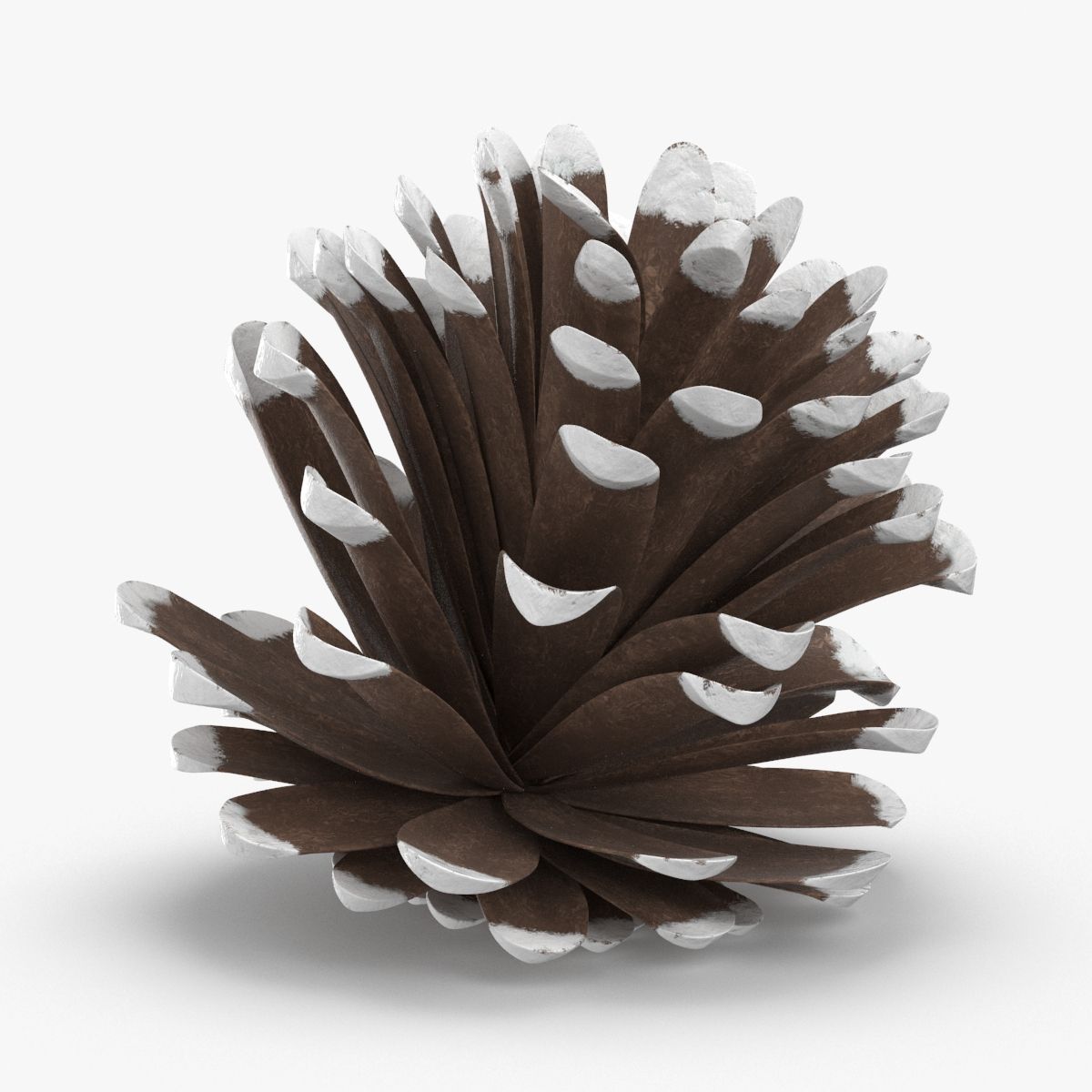 Frosted Pine Cones - 04 3d model