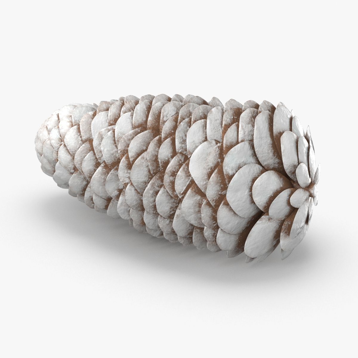 Frosted Pine Cones - 01 3d model