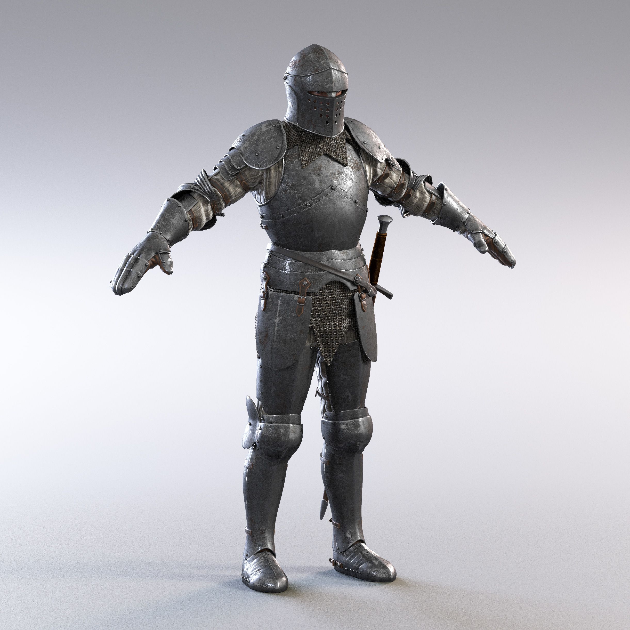 Chevalier de pleine assiette 3d model