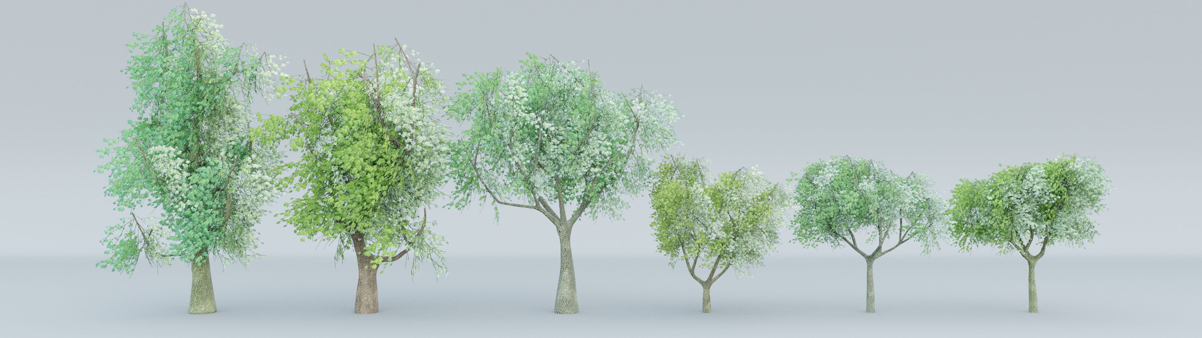 Pacchetto albero 3d model