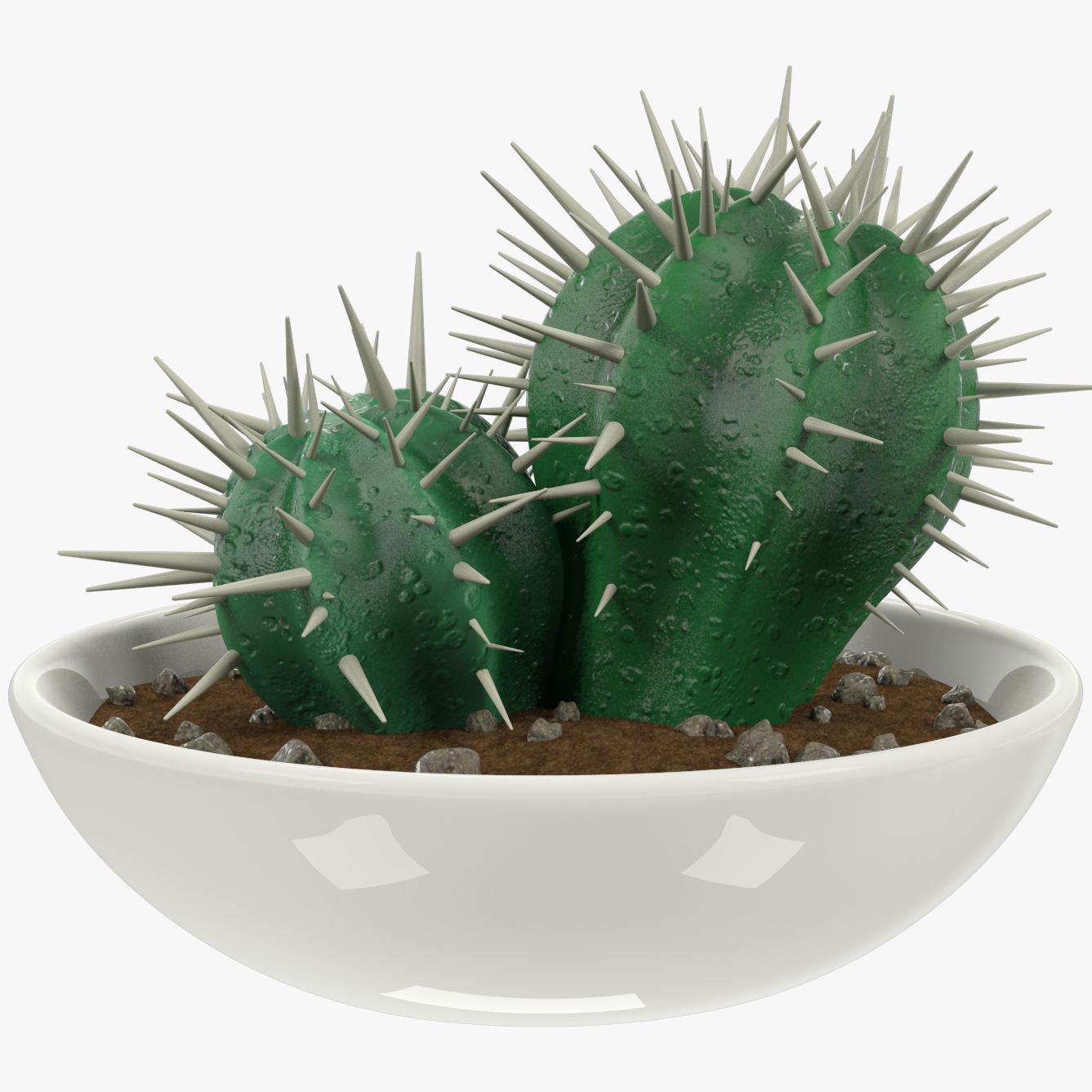 Cactus in pot V1 3d model