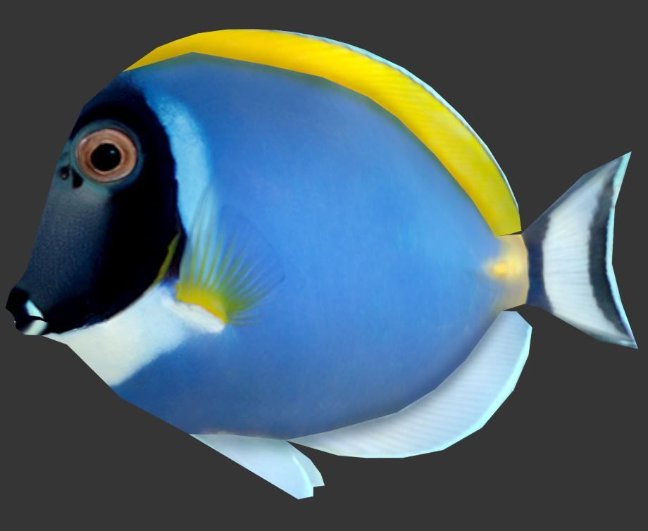 Bluetang 3d model