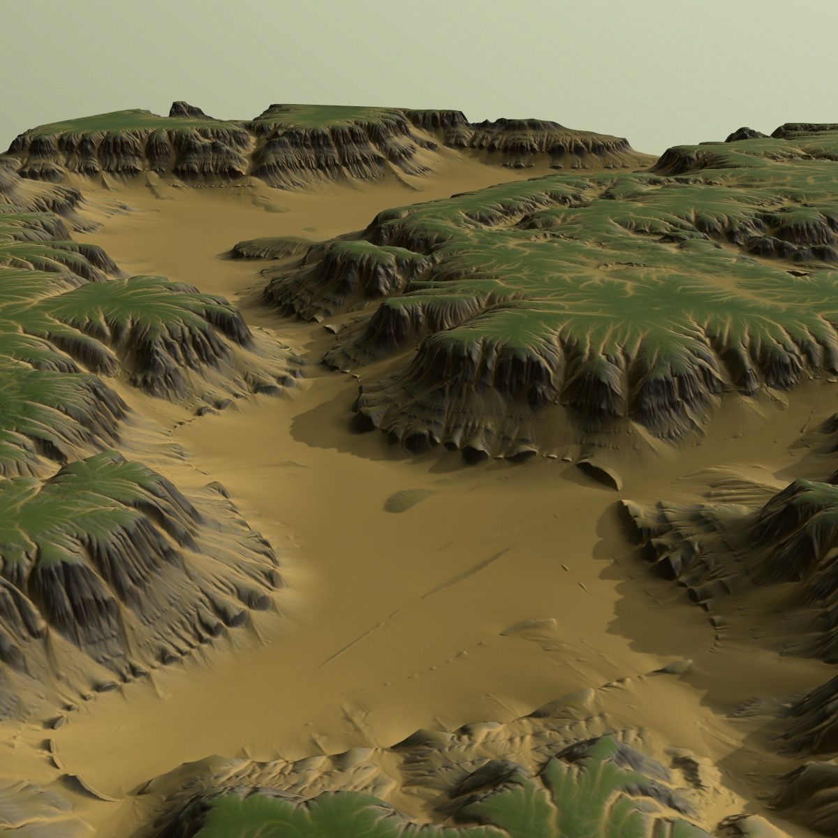 土地56 3d model