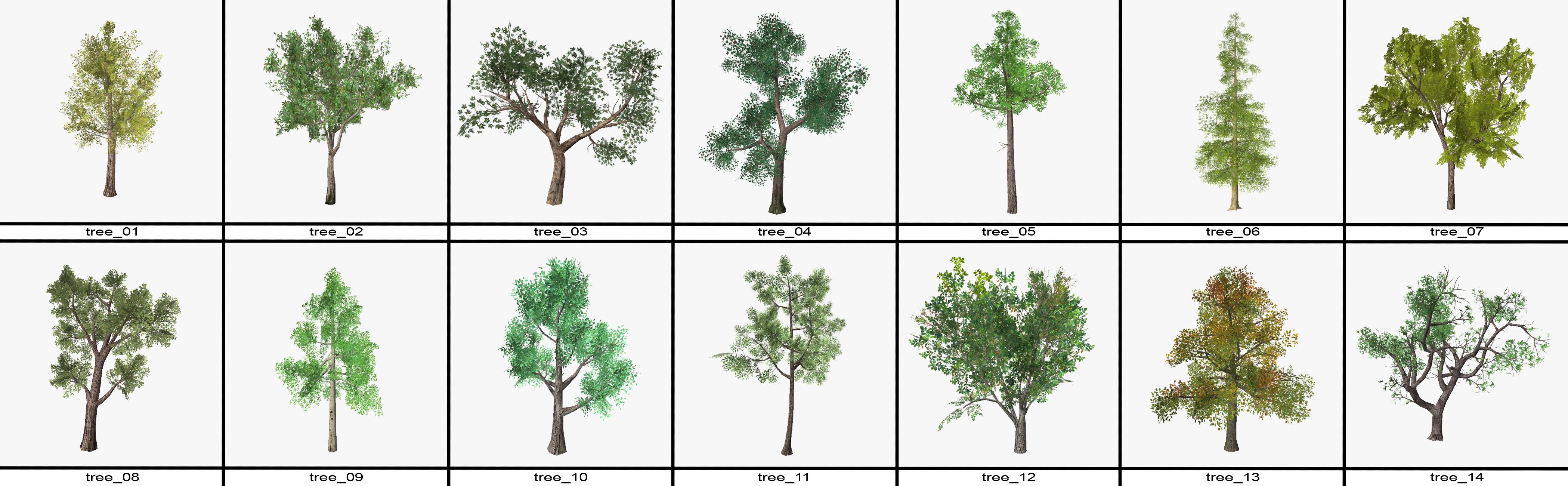 pacchetto albero (14 alberi) 3d model