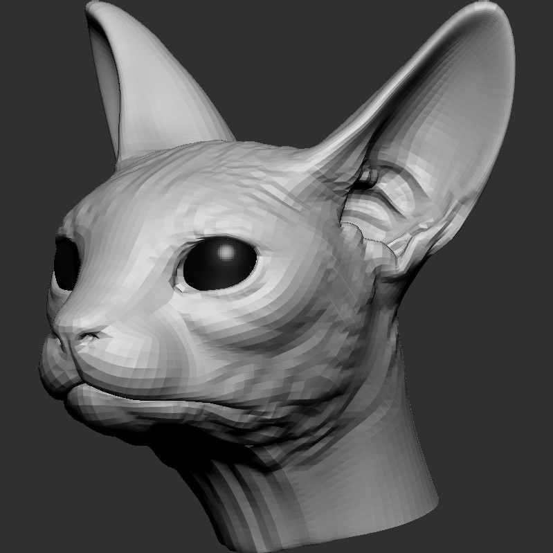 Sphynx katthuvudbas 3d model