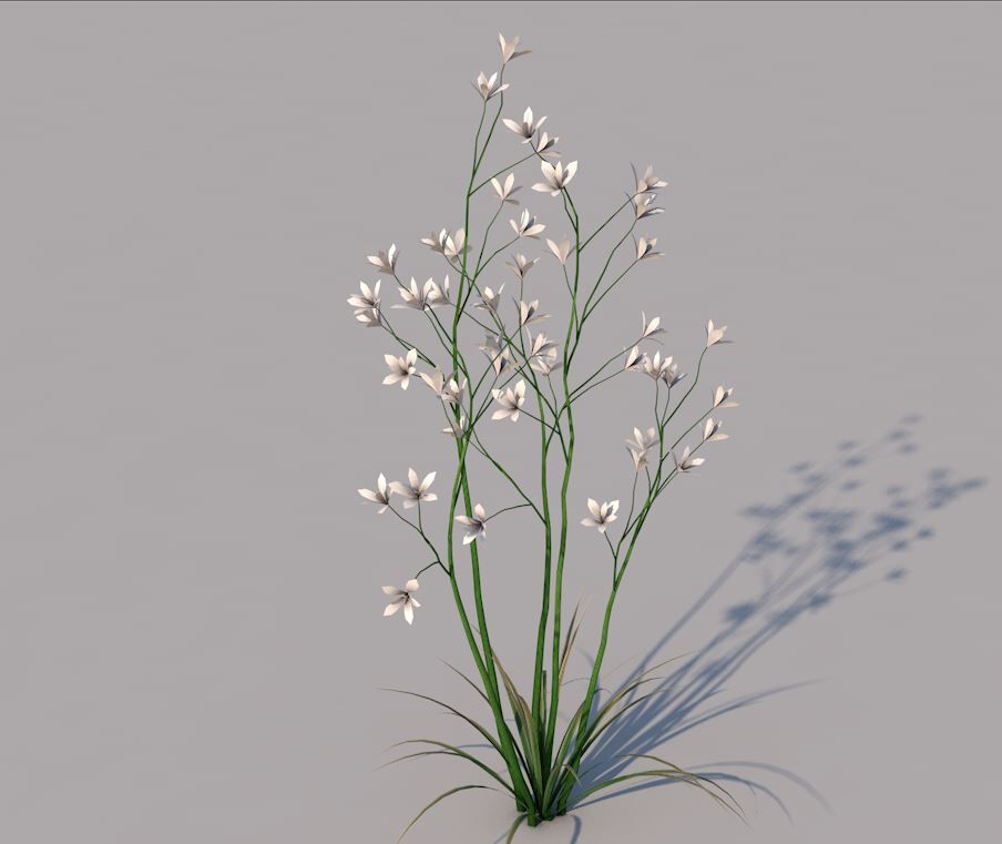 Flower Grass 3d model