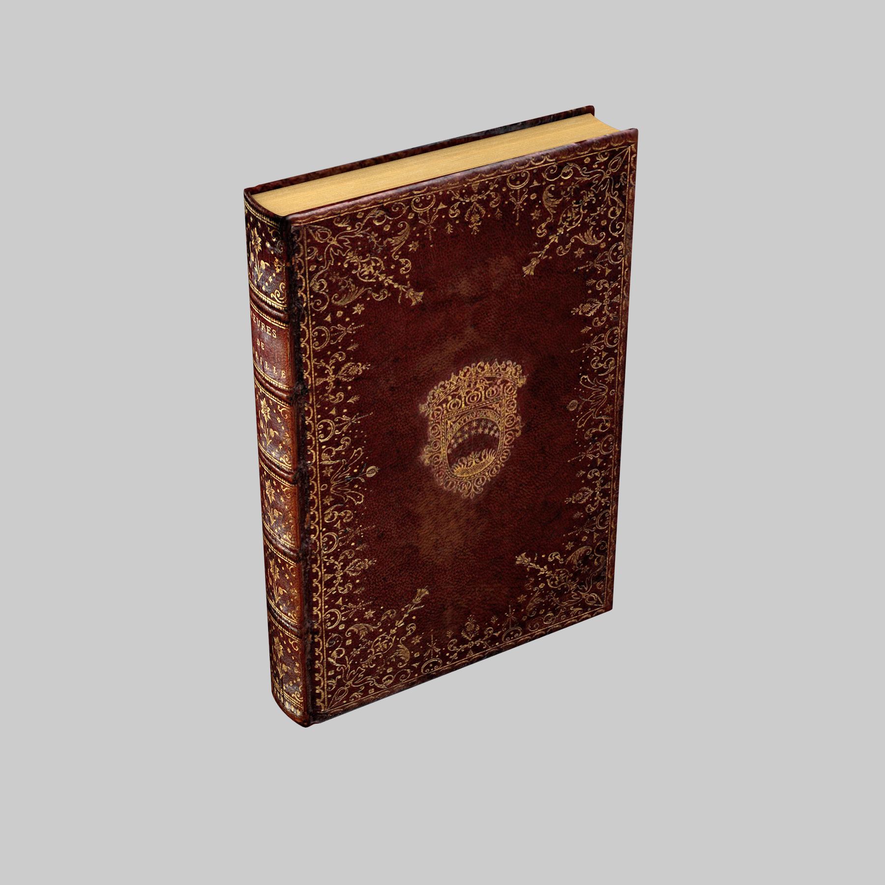 Oud boek 3d model