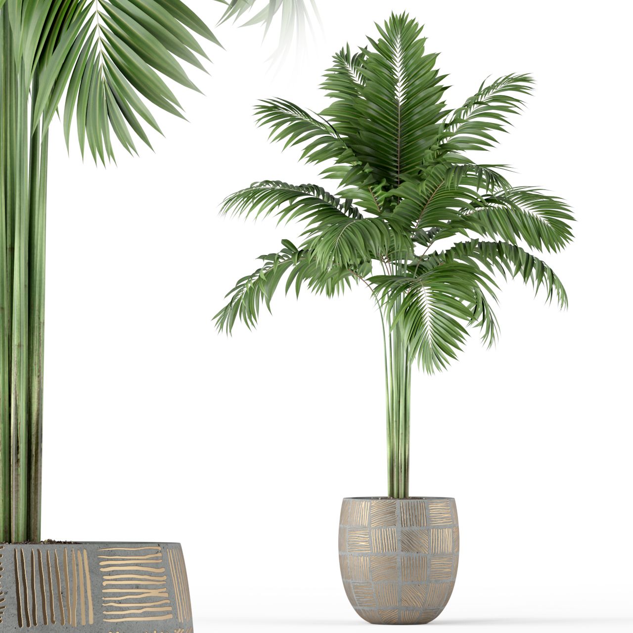 Plants collection 220 3d model