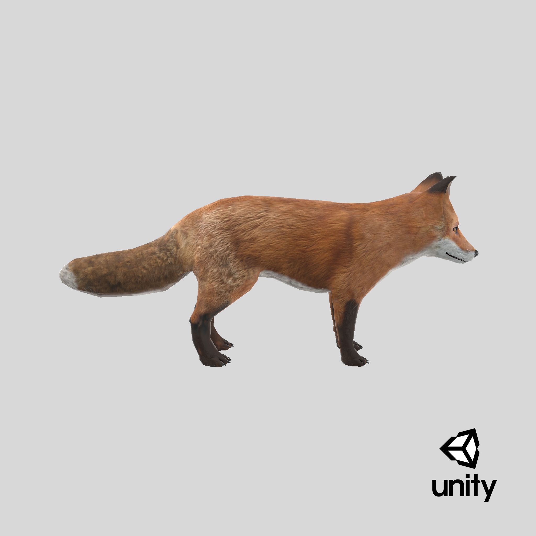 Fox royalty-free 3d model - Preview no. 20