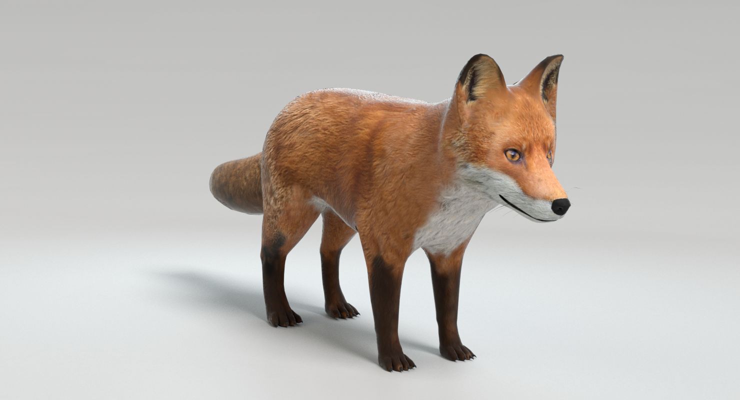 Fox royalty-free 3d model - Preview no. 10