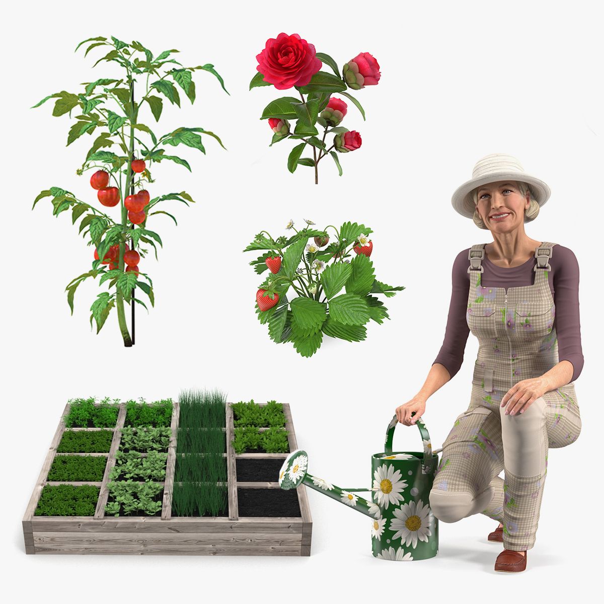 Collezione Signora del giardinaggio con piante 3d model