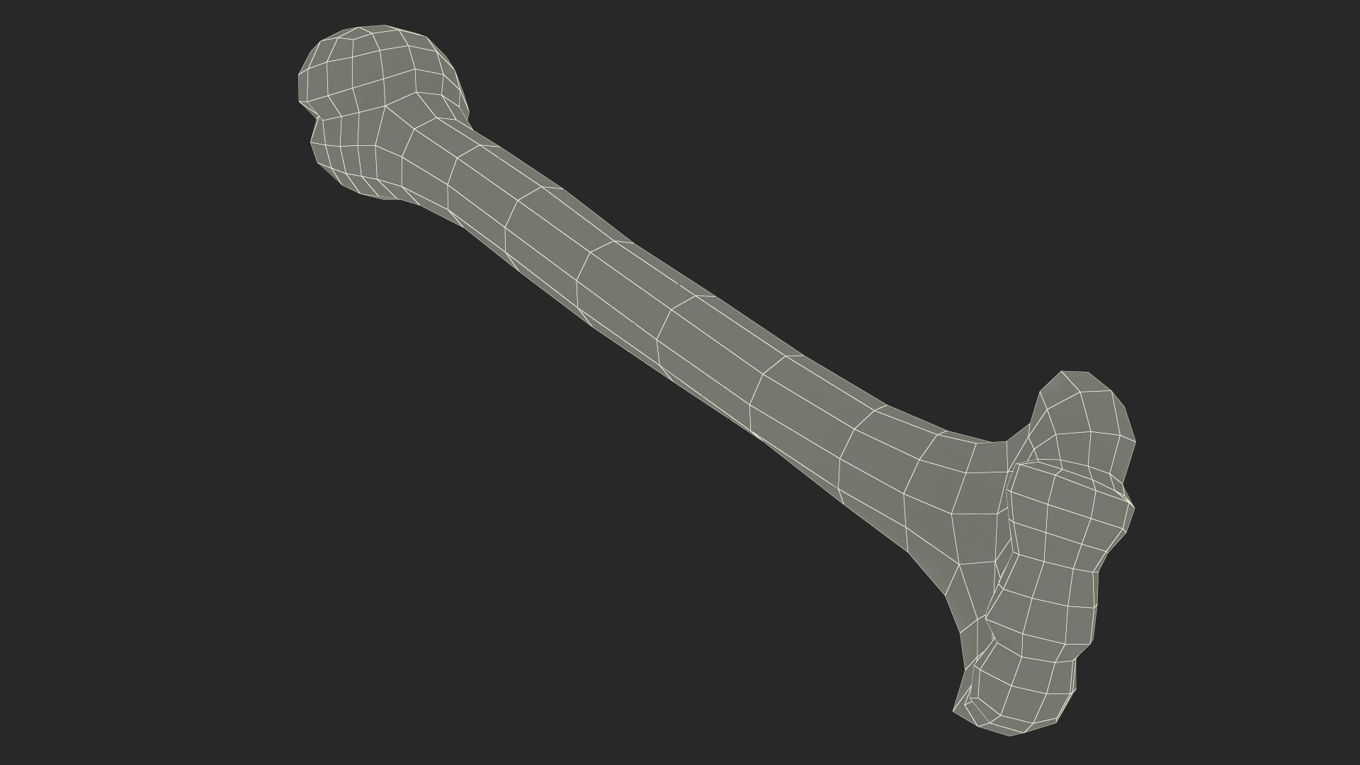 Bone royalty-free 3d model - Preview no. 24