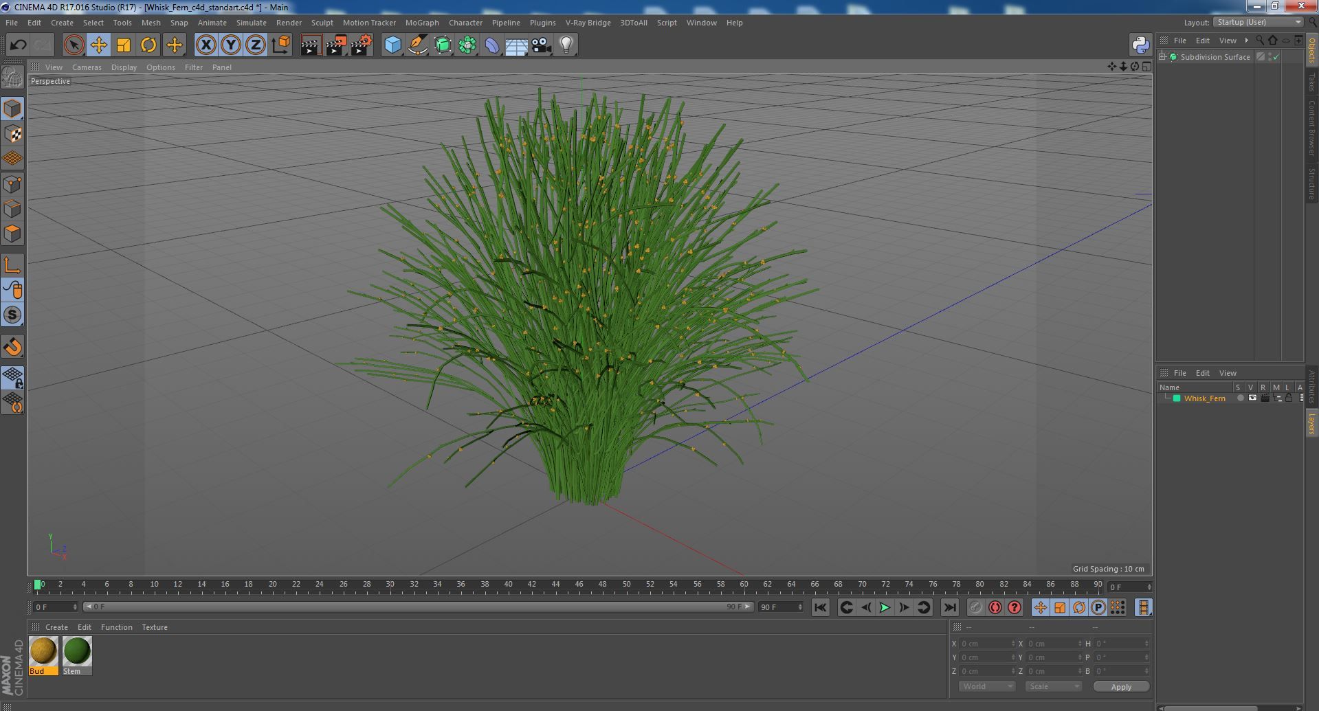 Whisk Fern royalty-free 3d model - Preview no. 24