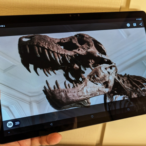 3Dカメラ搭載で裸眼立体視ができるタブレット「nubia Pad 3D」レビュー　Stable Diffusionによる3D画像のAI生成機能も