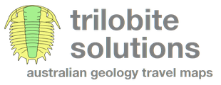 Trilobite Solutions