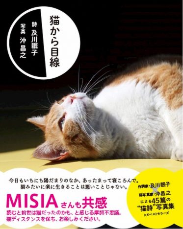 「猫目線」詩で自分の在り方を見つめなおす