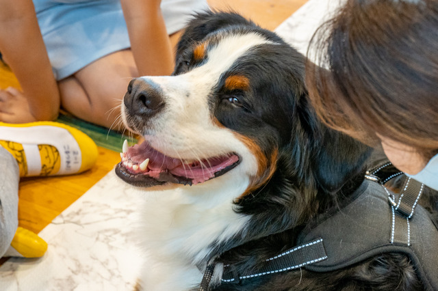 「人と犬が共に学び合えることを大切に」した授業