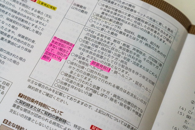 多くのペット保険がパテラを補償から除外