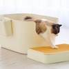 猫用トイレ「TALL WALL BOX」