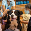 触れ合いを通じて相手を思う気持ちを醸成