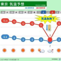 【画像あり】ペンキで隠しただけのイメージビデオ、結局アウトで制作会社社長逮捕wwww