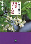 入江泰吉　万葉花さんぽ（小学館文庫）