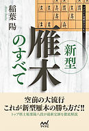 新型雁木のすべて