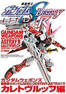 ガンダムウェポンズ 機動戦士ガンダム SEED DESTINY ASTRAY R カレトヴルッフ編