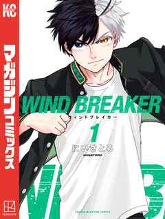 ＷＩＮＤ　ＢＲＥＡＫＥＲ（１）