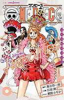 ONE PIECE novel HEROINES