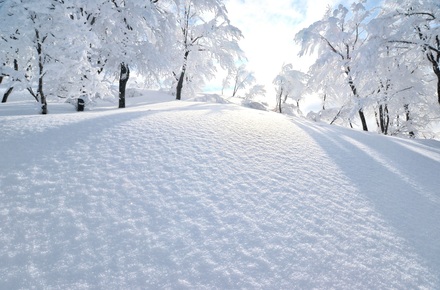 中谷宇吉郎のおすすめ本5選！「雪」を研究した物理学者画像