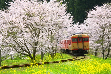 初心者におすすめの阿川弘之作品5選！キーワード「旅」から入る画像