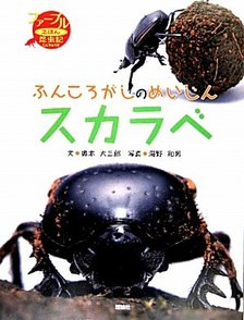 5分でわかるフンコロガシの生態！なぜ糞を転がす？幼虫の育て方などを解説！画像