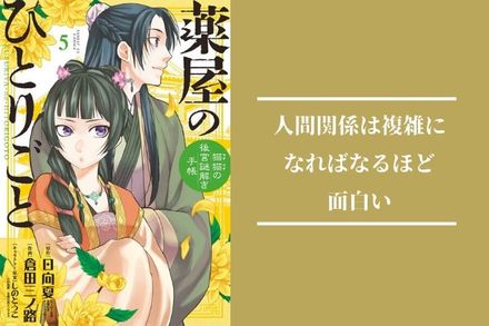 漫画『薬屋のひとりごと』を相関図とともに全巻ネタバレ解説！壬氏のプロポーズ？出生の秘密？画像