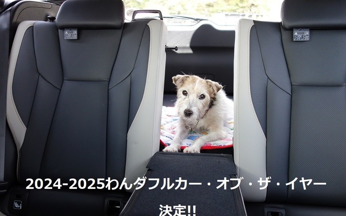 わんダフル カー・オブ・ザ・イヤー2024！ 愛犬家と愛犬にとってベストな一台とは【青山尚暉のわんダフルカーライフ 最終回】 画像