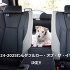 わんダフル カー・オブ・ザ・イヤー2024！ 愛犬家と愛犬にとってベストな一台とは【青山尚暉のわんダフルカーライフ 最終回】