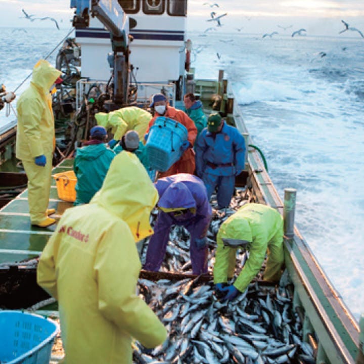 自慢の新鮮魚介