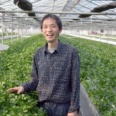 花様 ka－you 西梅田 近江野菜自家栽培ファーム直送店_ミニセロリ【滋賀県野洲産：イーファーム】