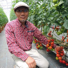 花様 ka－you 西梅田 近江野菜自家栽培ファーム直送店_朝恋トマト【滋賀県近江八幡産：浅小井農園】