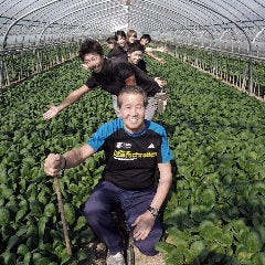 花様 ka－you 西梅田 近江野菜自家栽培ファーム直送店_草津小松菜【滋賀県草津産：横江ファーム】