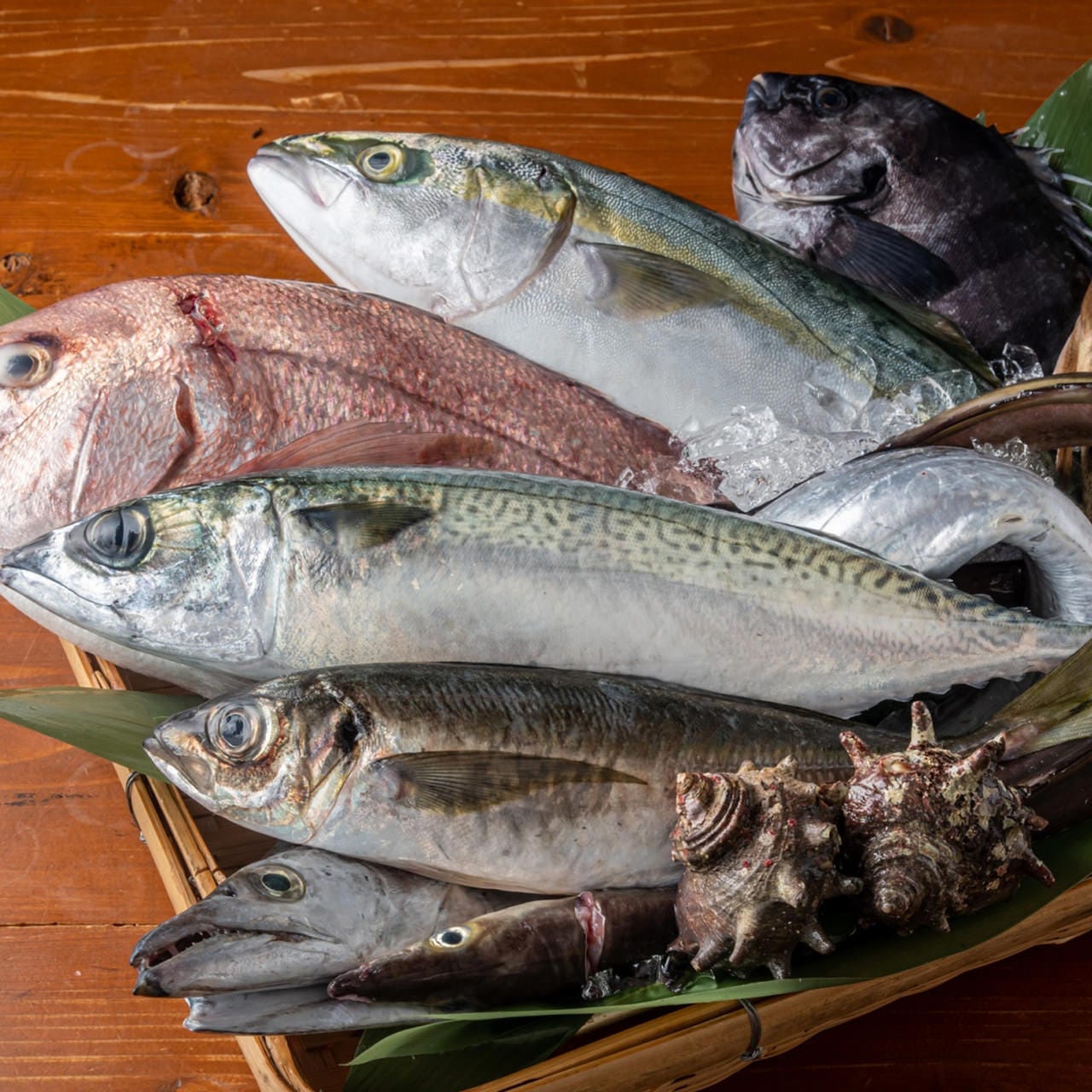 農家うたげ。SANNOMIYA_鮮度に自信あり！腕利きの料理人が厳選した、兵庫の旬魚介