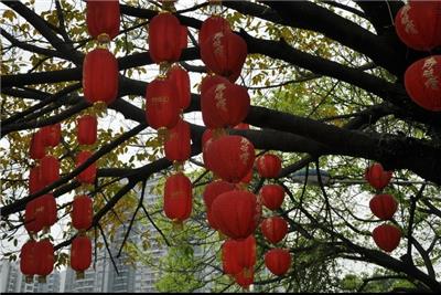 迎新春大红灯笼串新年春节装饰品