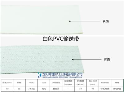 沈阳轻型输送带厂家-白色PVC轻型输送带 杀鸡厂屠宰厂皮带