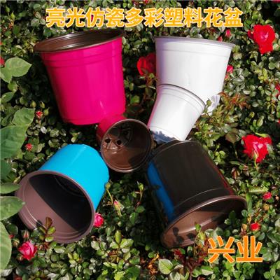 太子河区兴业塑料制品厂