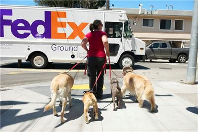 武汉联邦国际快递寄电子产品 食品 药品 FedEx取件电话